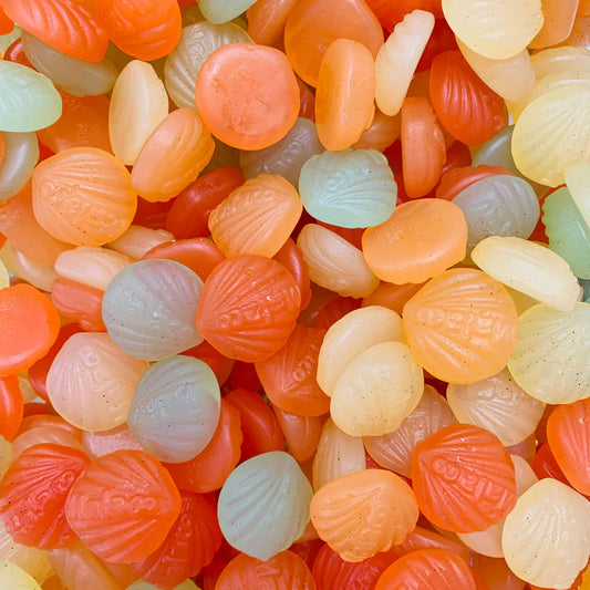 Gummy Shells